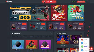 Питч-репорт ключ к успешным ставкам на крикет